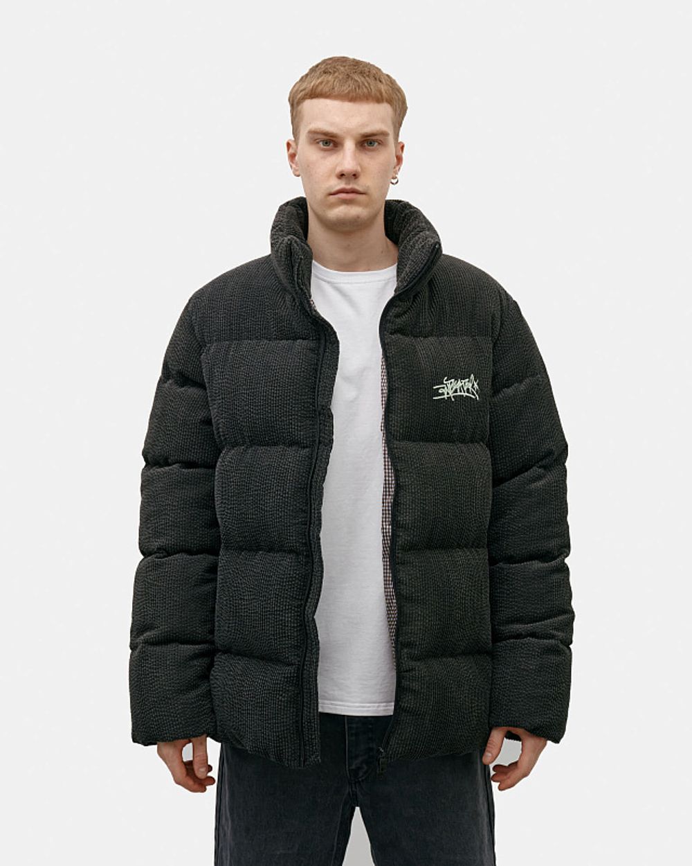 Купить Пуховик Anteater AW24 Downjacket Velvet Green Пуховик Anteater AW24 Downjacket Velvet Green