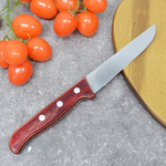 Нож кухонный Tramontina Polywood 10см, 871080