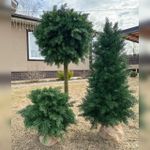 Туя искусственная (Литая хвоя) 230 см / 2,3 м