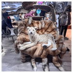 Реплика «Львенок»