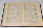 "Ботанический атлас по системе де-Кандоля". К.Гофман. 1899г.