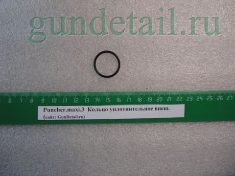 Кольцо уплотнительное внеш. Puncher.maxi3 (#AT23)