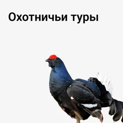 Охотничьи туры