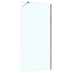 Душевая перегородка Azario Walk-in 1000х1950 прозрачное стекло 8 мм, профиль графит матовый (AZ-251-100-MGR-CL)