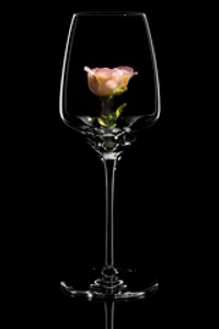 Бокал для белого вина. / Роза бутон розовая.