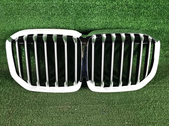 Решетка радиатора BMW X7 G07 (2019-2022)