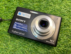 Sony W550
