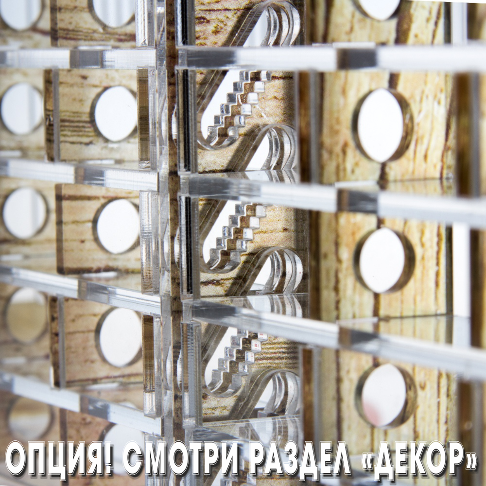 Crystal XL 3.0 + колония Camponotus nicobarensis