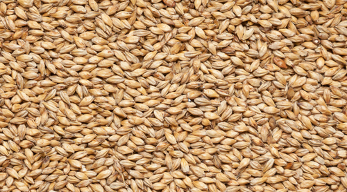 Солод ячменный пивоваренный "Melano chateu" (Мелано Шато), производитель Castle Malting (Бельгия)