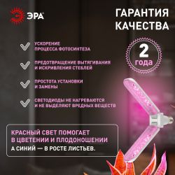 Фитолампа для растений светодиодная ЭРА GREEN LINE ФИТО-20W-PL-E27-GR 2-х лепестковая красно-синего спектра 20 Вт Е27
