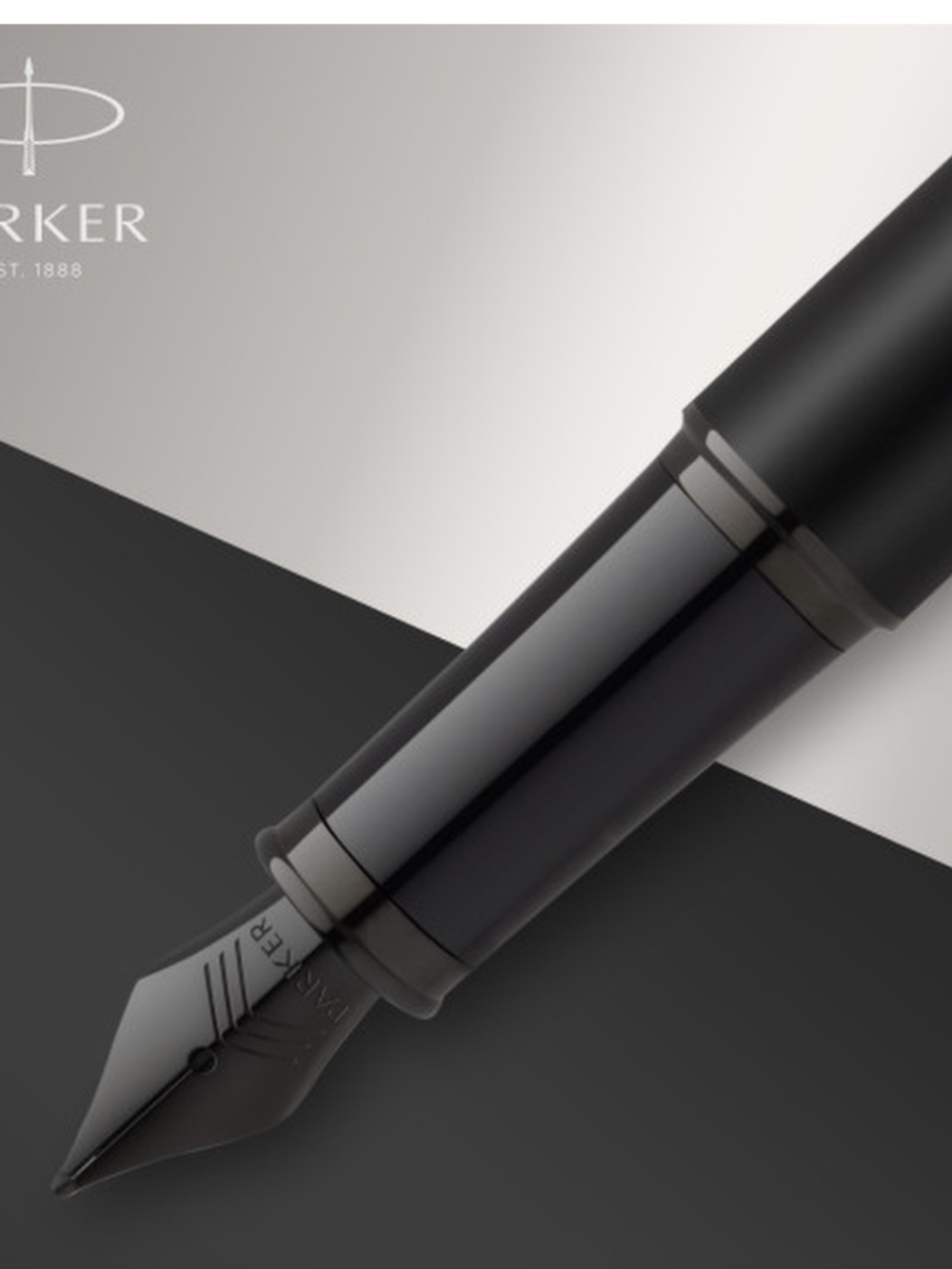 PARKER ручка перьевая IM Achromatic F, синий цвет чернил