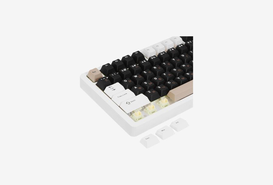 AS X86 Milk White_0426522103702