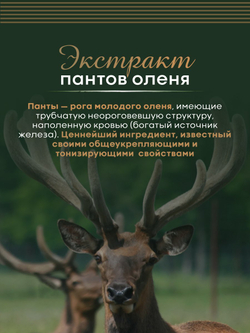 Женьшень экстракт 6-летнего красного корня с пантами оленя
