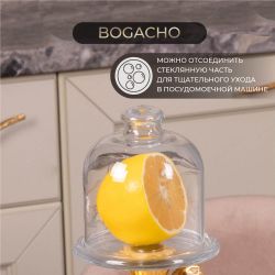 Лимонница Заветное желание Айвори