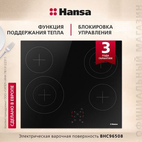 Электрическая панель Hansa BHC96508