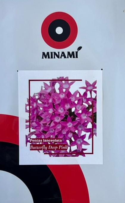 Пентас ланцетный Баттерфляй Дип Пинк 8шт.