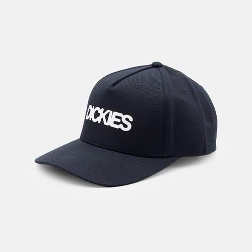 Кепка Dickies Torrey Snapback Cap артикул:DK0A88I9BLK1 - купить в магазине Дайс
