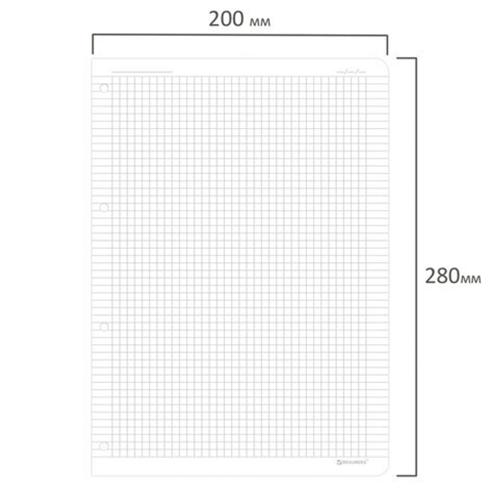 Сменный блок к тетради на кольцах БОЛЬШОЙ ФОРМАТ А4 120 л., BRAUBERG, ПОВЫШЕННОЙ ПЛОТНОСТИ, белый, 404516