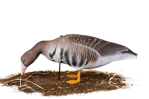 Белолобый гусь S-XPE 3D мод. B622-3D