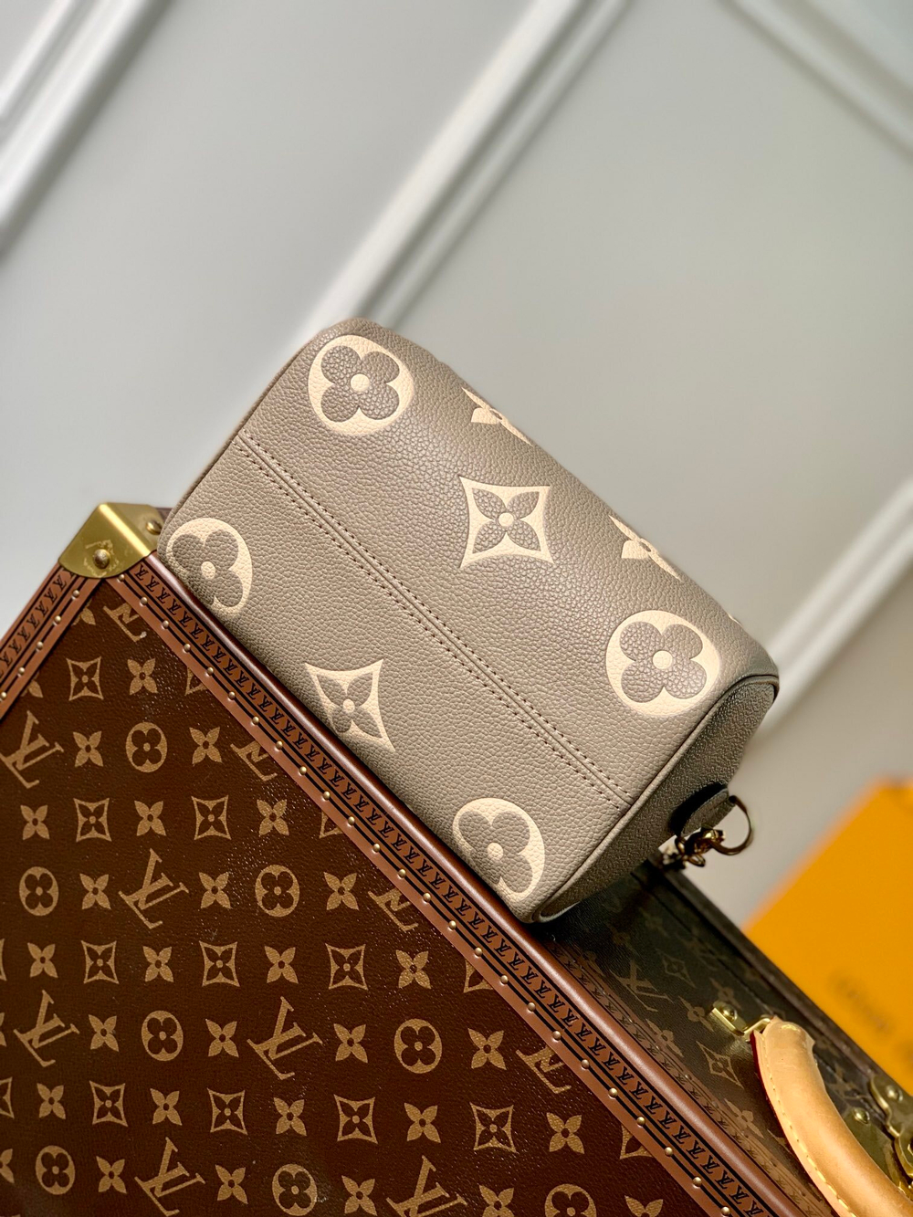 Louis Vuitton Speedy 20