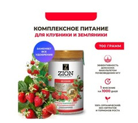 Zion гранулы Ионитный субстрат для клубники 0.7 кг