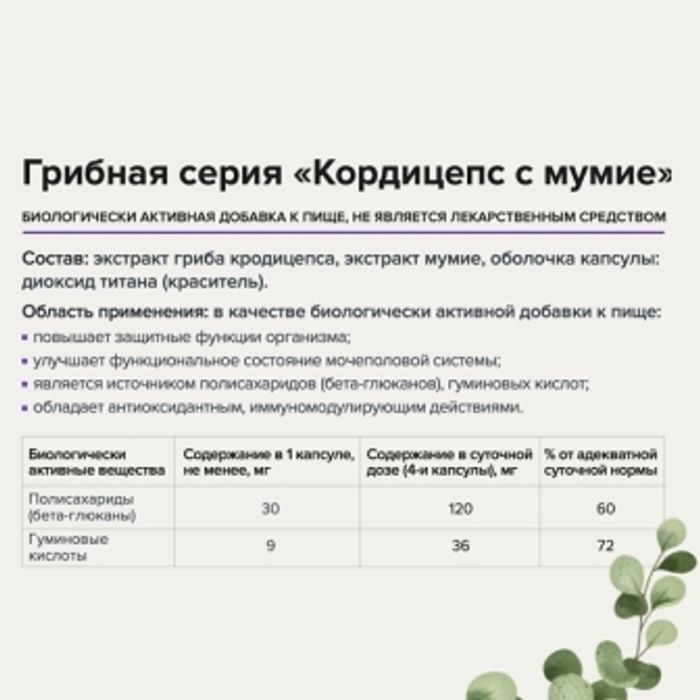 Экстракт гриба кордицепс с мумиё, Cordyceps, Risingstar, 60 капсул 2