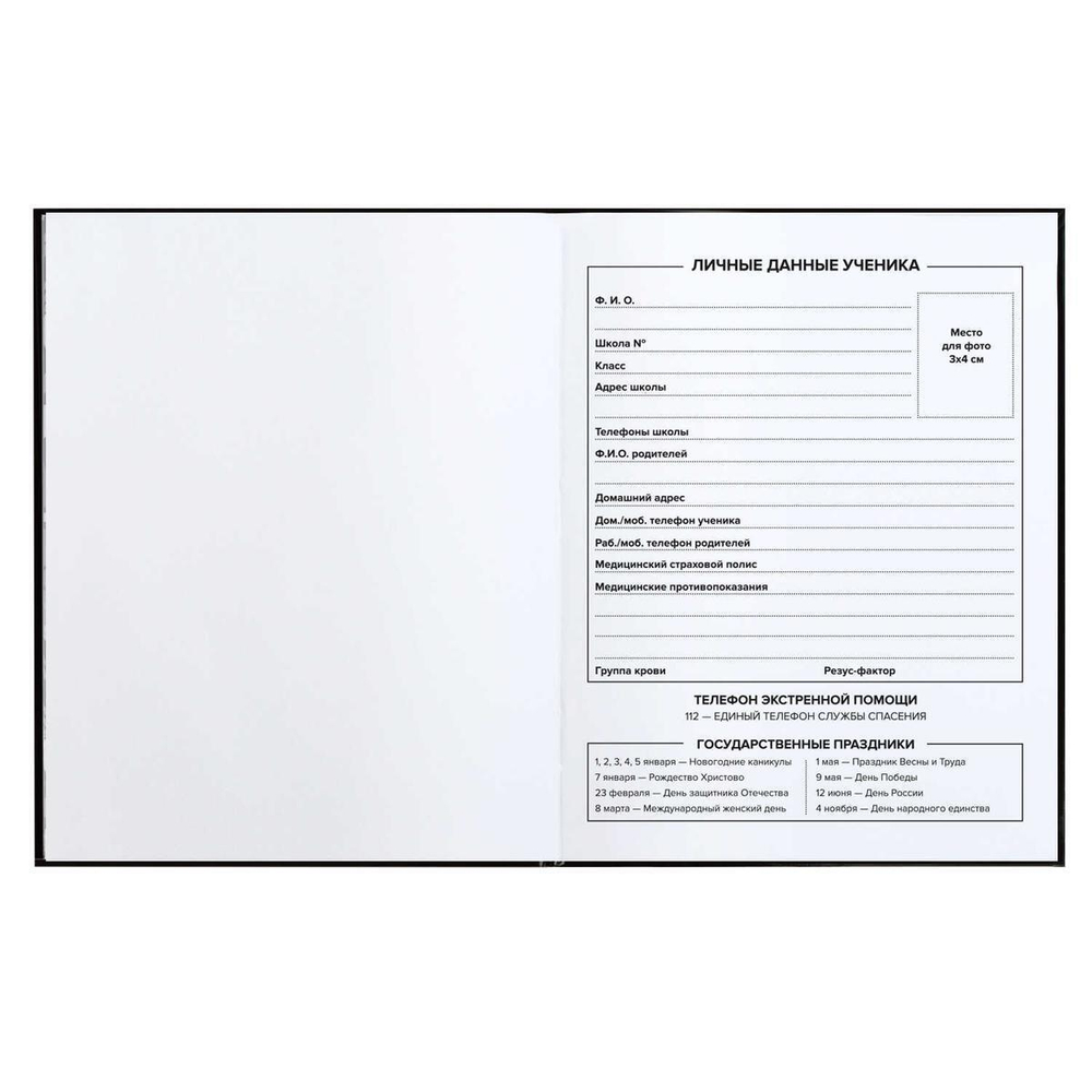 Дневник школьный 48л "Бунтарский дух" (Феникс+)