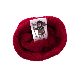 Шапка ННХ Фудзи Красный
