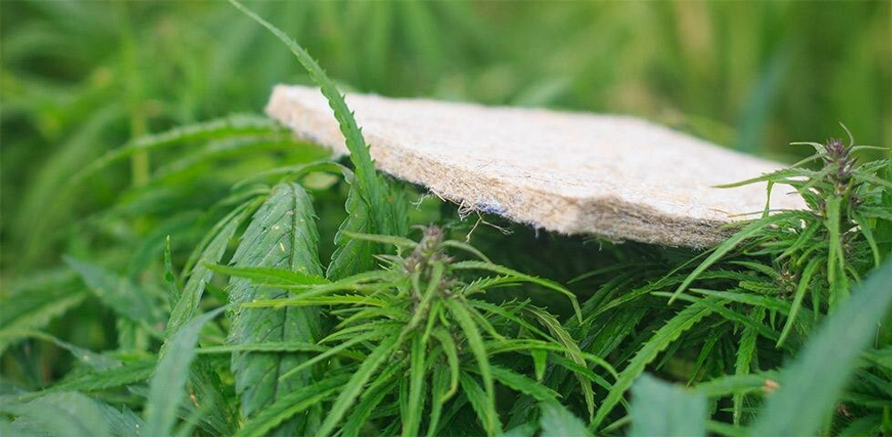 Матрас Mr. Mattress Amnesia XL, независимые пружины