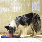 Коврик под миску Zee.Mat BLUE Zee.Dog