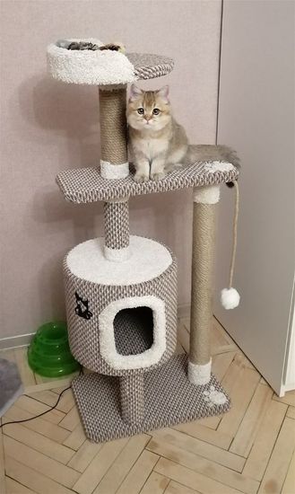 Когтеточка Д-21