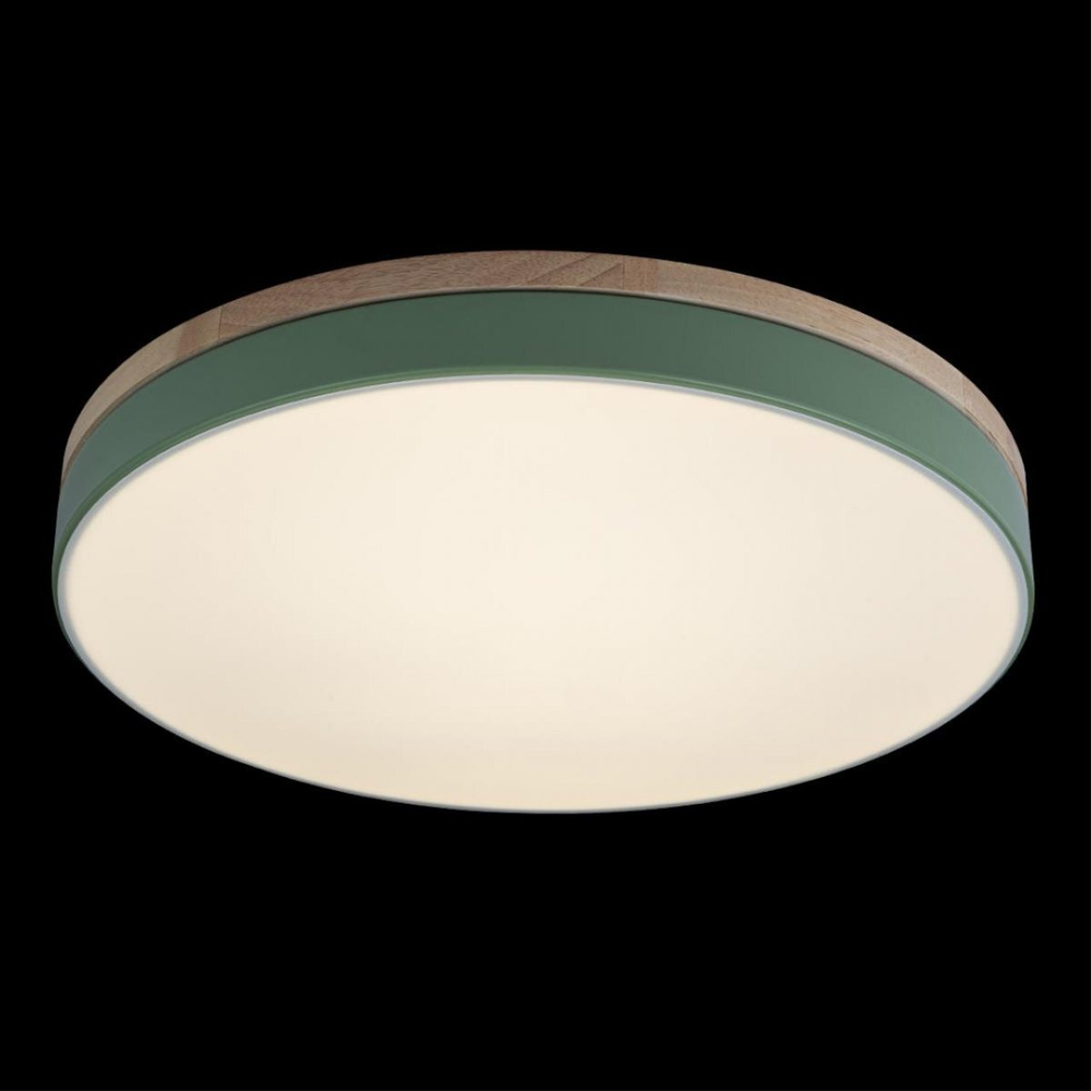 Потолочный светодиодный светильник Loft It Axel 10001/36 Green