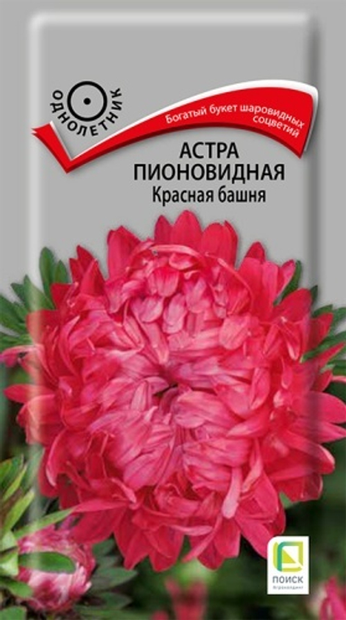 Астра пионовидн. Красная башня 0,3гр Поиск