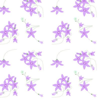 Колокольчики.