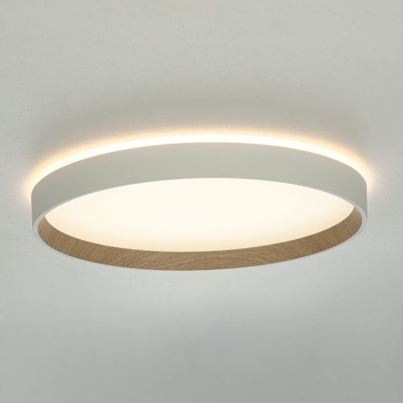 Потолочный светодиодный светильник Citilux Etalon CL750320R