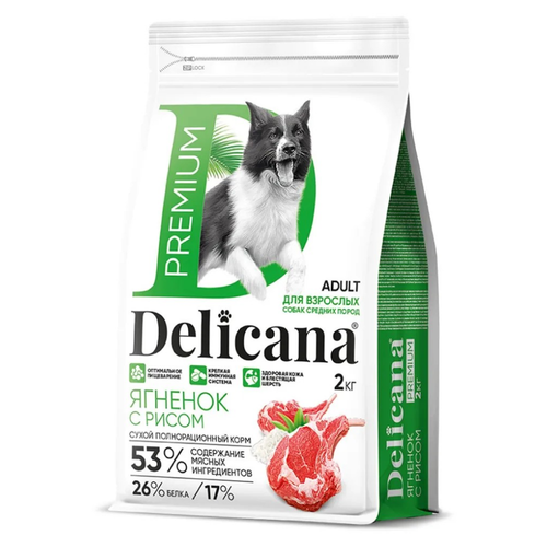 Delicana корм сухой для взрослых собак средних пород ягнёнок, рис