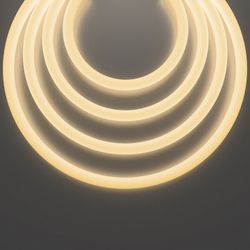 Шнур световой Maytoni Nemo D25 20306