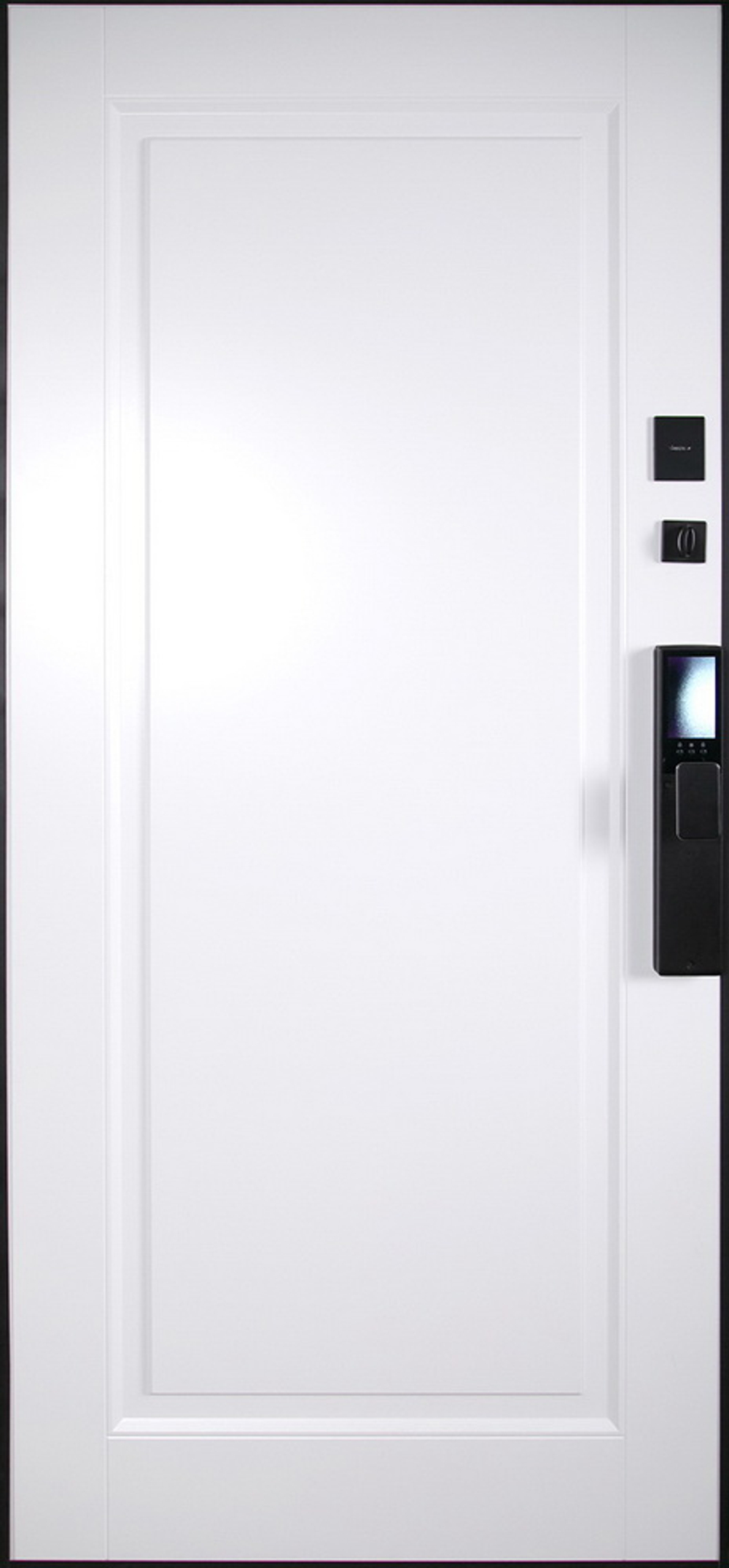 Стальная дверь "Сапсан" (биометрический замок Y12)