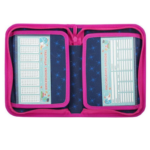 Penal \ Pencil case\ Пенал BRAUBERG, 1 отделение, 2 откидные планки, 21х14 см, 272318