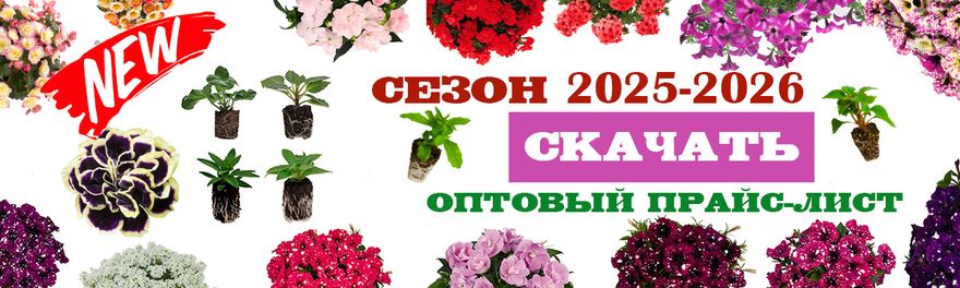 Слайдер Блок 1