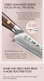 Кухонный нож Hezhen X02M Utility нож 5 дюймов клинок 67 Layers Damascus рукоять микарта, длина лезвия 13,5 см