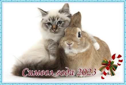 СИМВОЛ ГОДА 2023