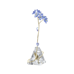 FLORERE:FORGET-ME-NOT