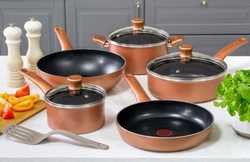 Набор сковород Tefal Performa 2 предмета 22/26 см 04190810
