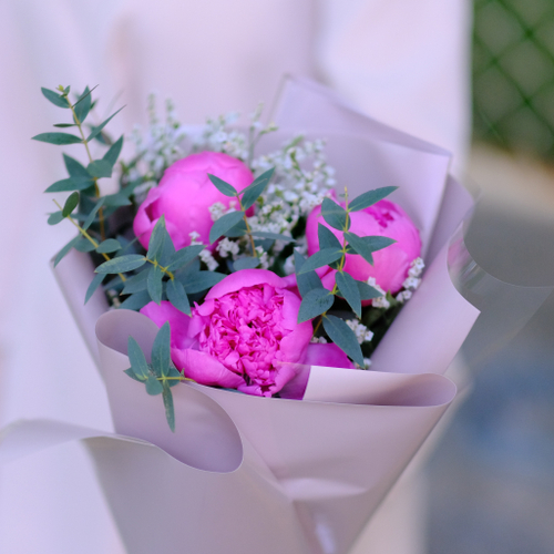 Купить Букет-комплимент из пионов #5201