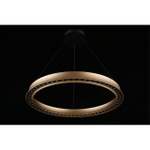 Подвесная светодиодная люстра Aployt Justyna APL.787.03.50