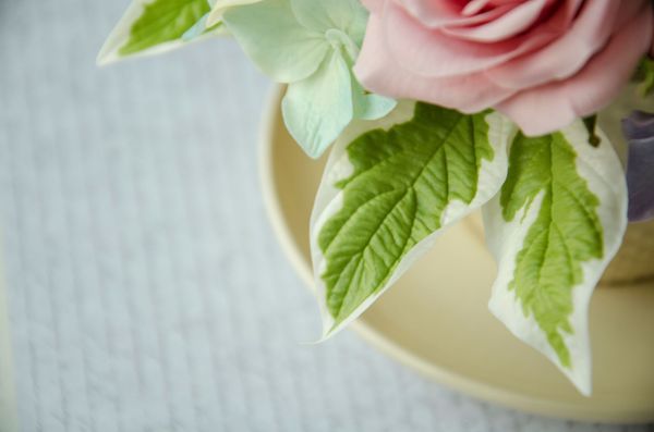 Дёрен белый