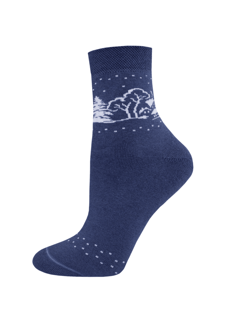 Брестские 1408 Arctic (Махровые) Носки женские