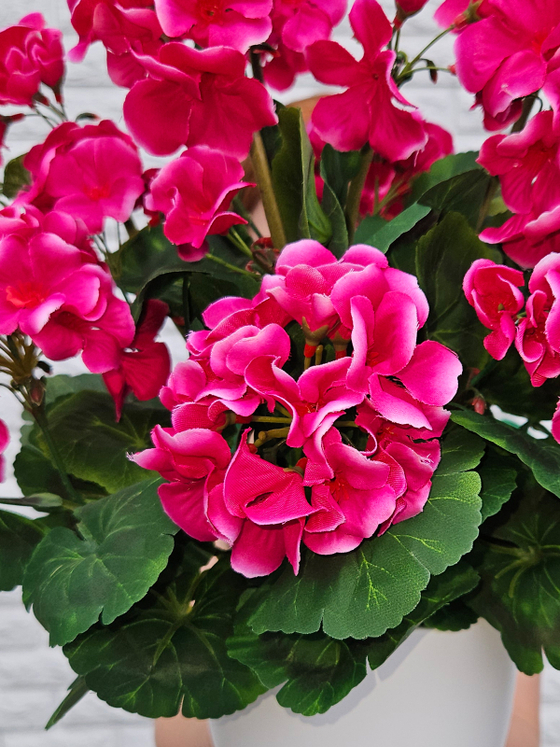 Искусственные цветы Герань вишневая густая 40см в белом кашпо