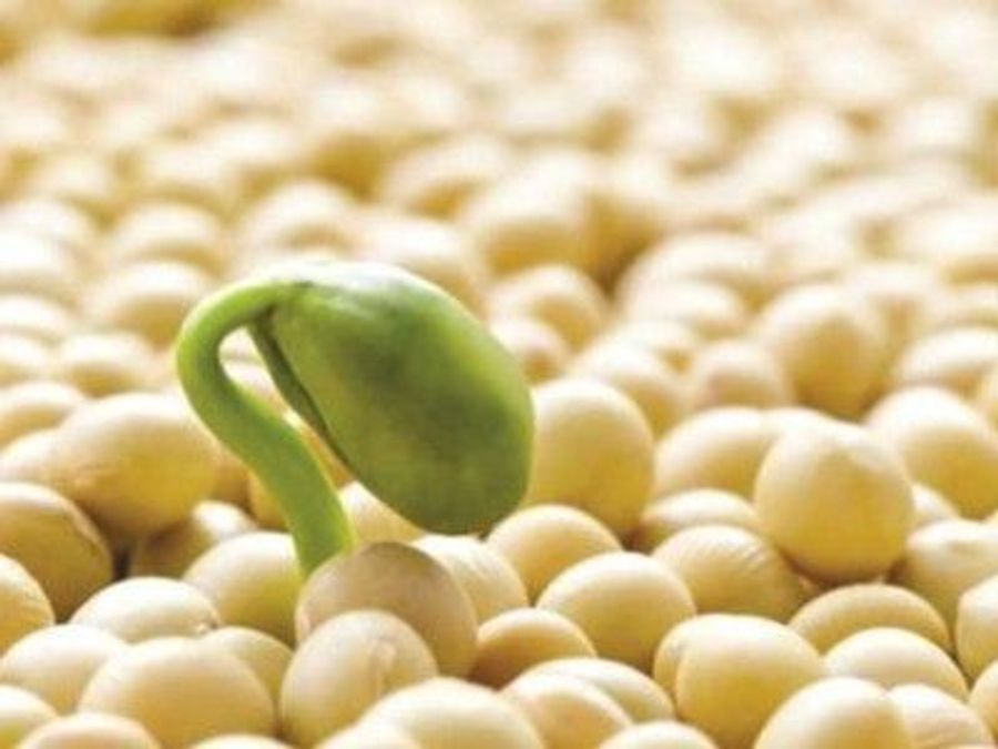 Микробов научили создавать «улучшенный» белок